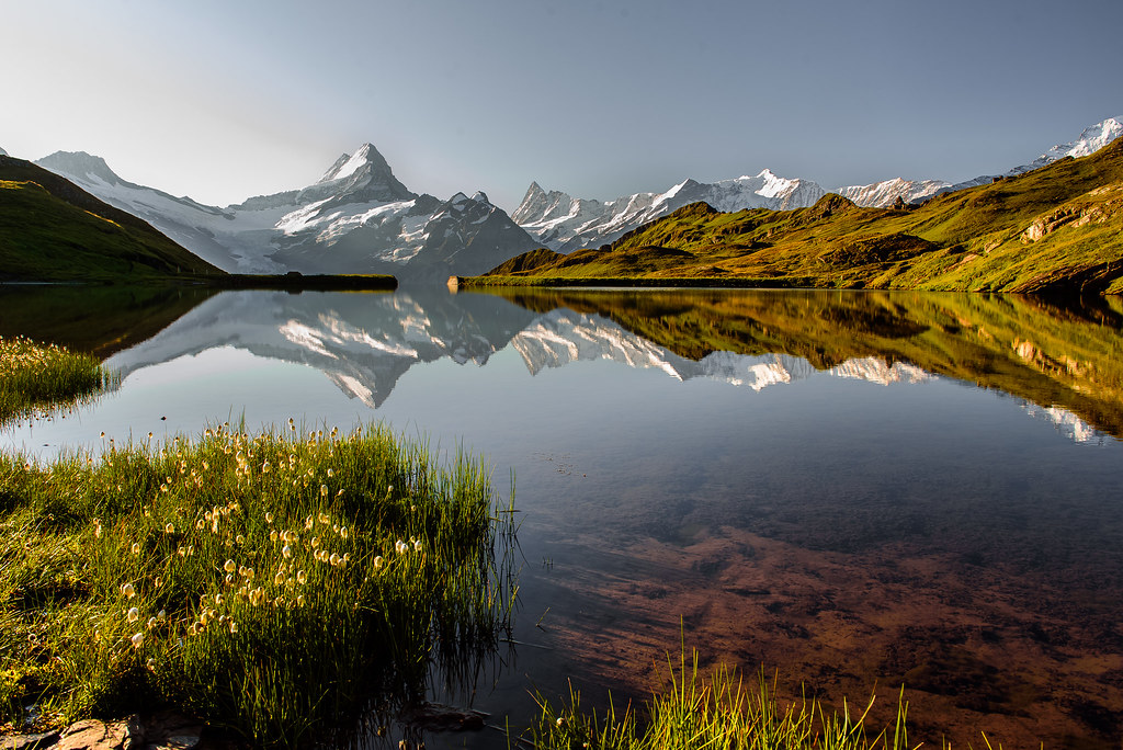 Coffee morning view Valerie C. Flickr