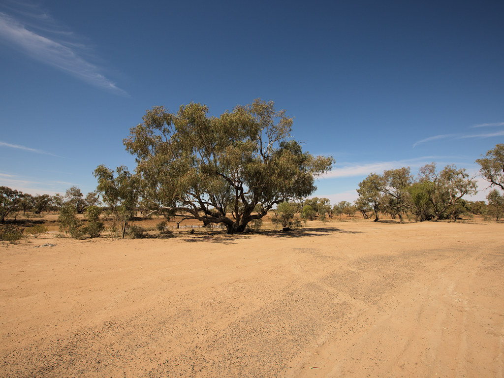 QUILPIE TO THE OTHER SIDE OF WINDORAH The land getting dec… Flickr