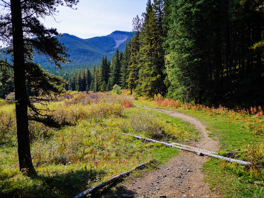 South End of Prairie Link Trail According to my map the Pr… Flickr