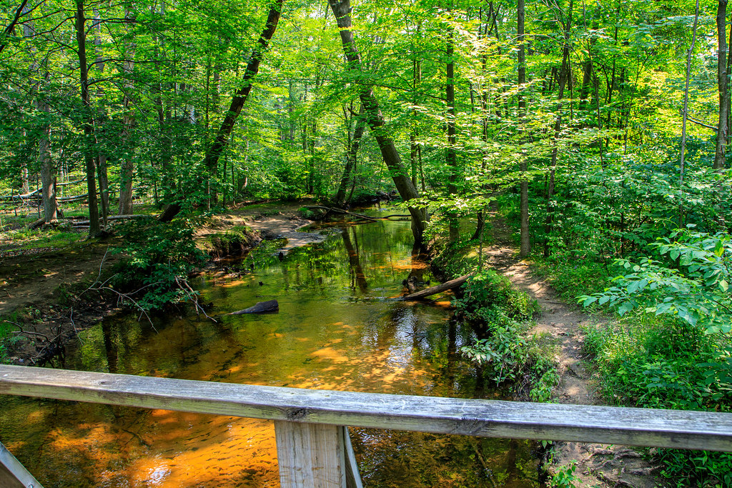 Michigan Black Creek Trail Black Creek Trail in PJ Hoffm… Flickr