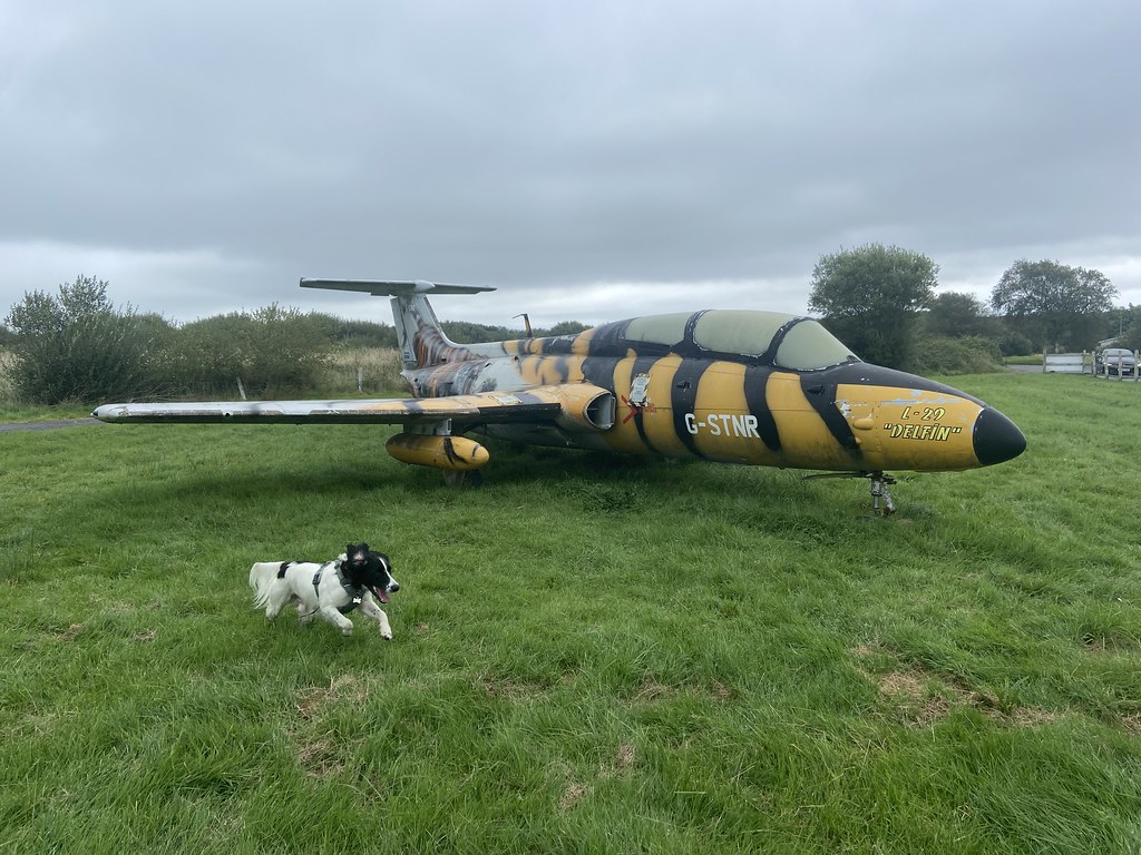 Swansea/Fairwood Common 10th September 2021 Flickr