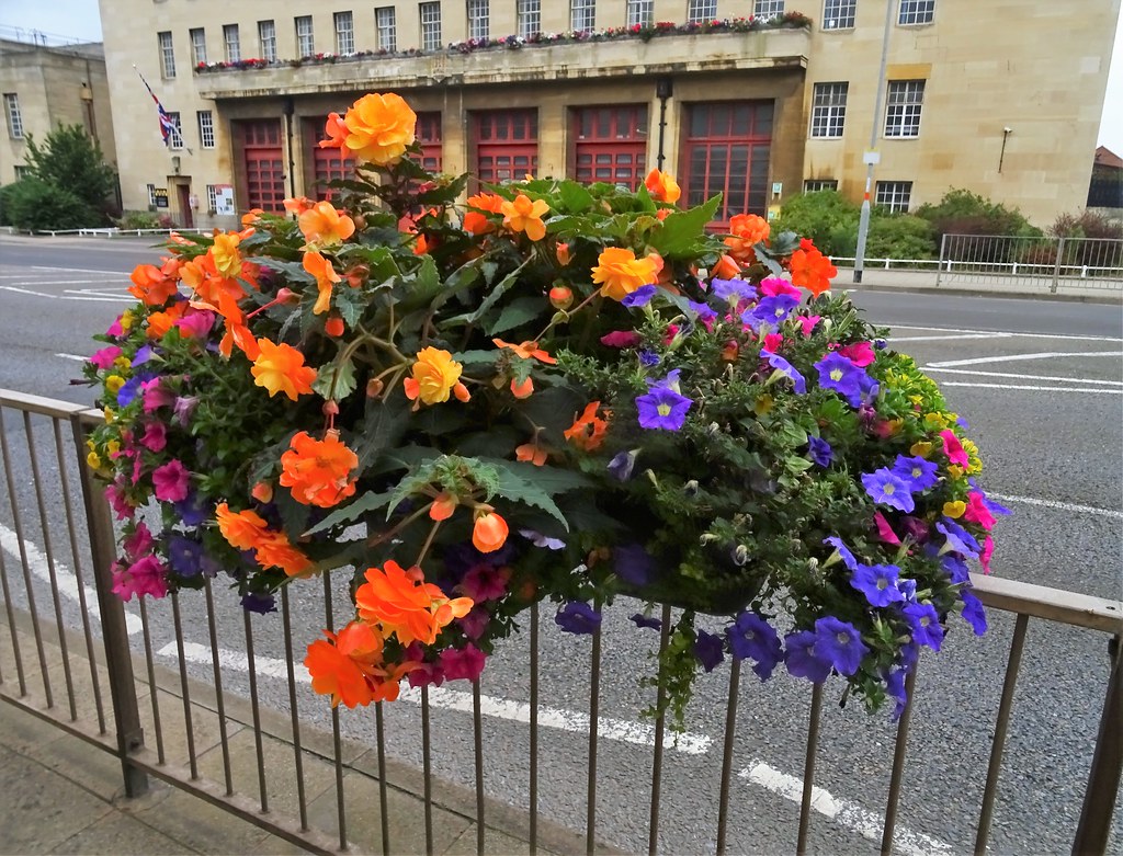 Flowers Northampton town centre nowadays is hardly an invi… Flickr