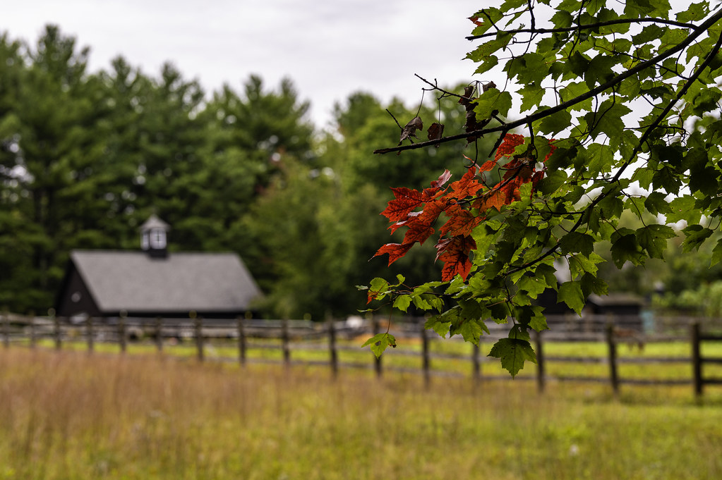 Miller Rd. New Durham NH Leon Lashley Flickr