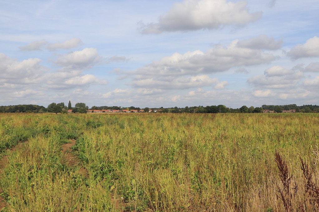 Near Downham Market View looking North across the fields n… Flickr