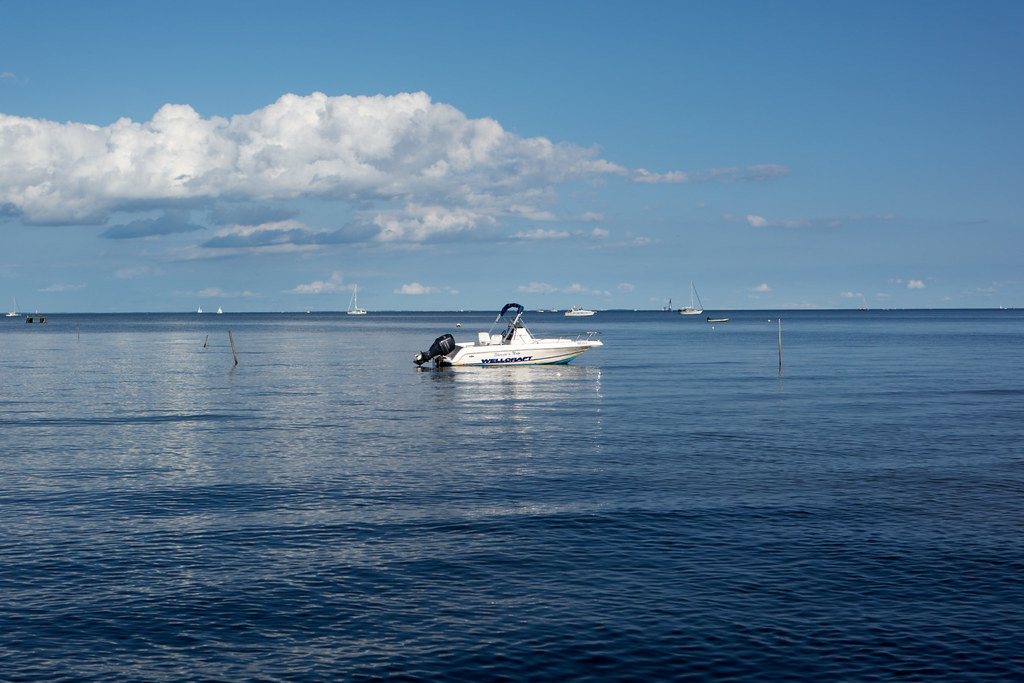 S1010695_JPEG QuickProof (sRGB) Tommy Domingue Flickr