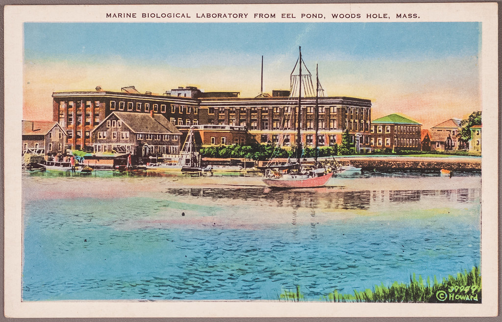 Marine Biological Laboratory from Eel Pond, Woods Hole, Ma… Flickr