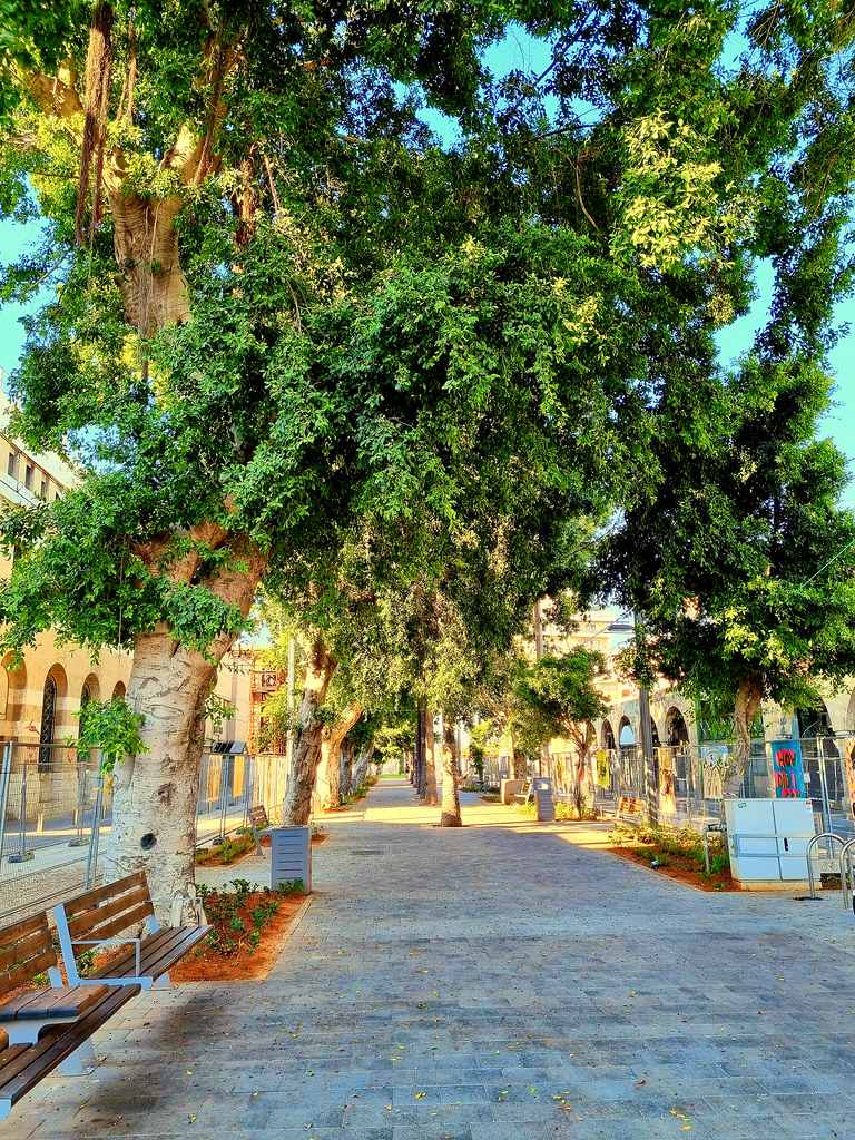 Jerusalem avenue, Jaffo, Israel; in sunset V. Albert Flickr
