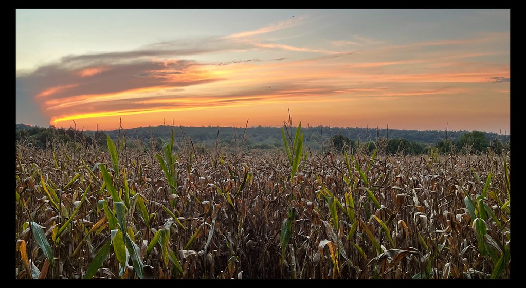 Allamuchy Natural Area Mad Hare Imagery Flickr