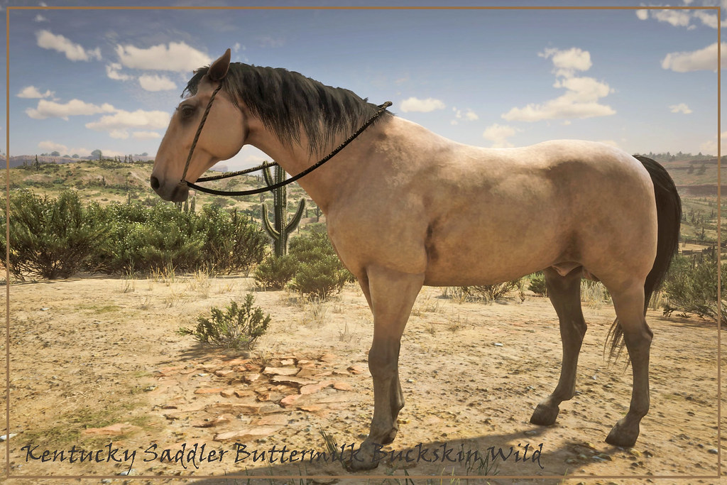 Kentucky saddler buttermilk buckskin wild Red Dead Redempt… Flickr