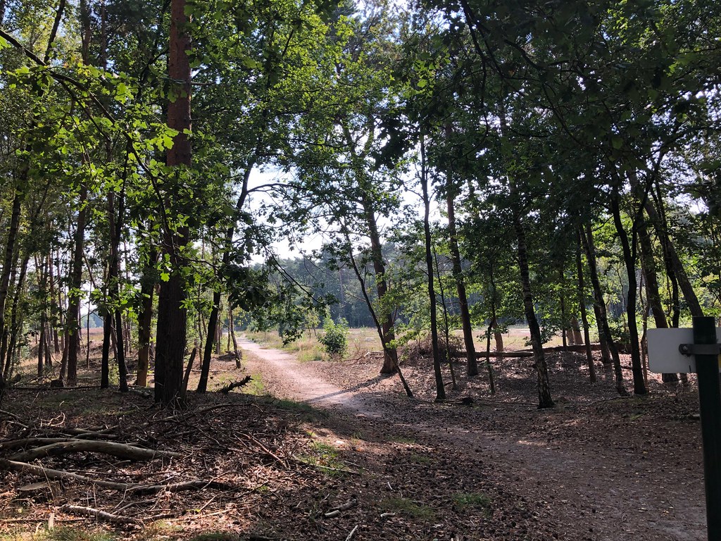 crossing the heathland Sylvia Okkerse Flickr