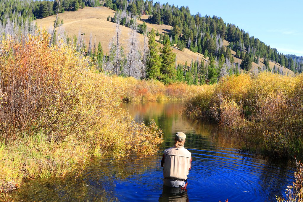 fly fishing on Little Blackfoot River in HelenaLewis and … Flickr