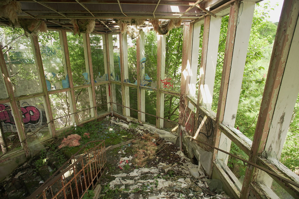 DSC01360 Pines Hotel, South Fallsburg NY. Stairs to elevat… Flickr