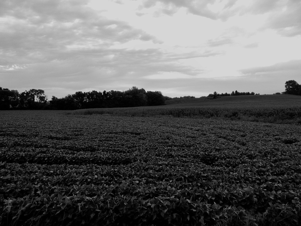 Mt Zion Road Frederick County MD, July 31, 2021 Art Reid Flickr