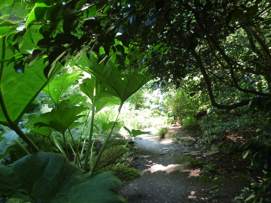 Hartland Abbey and Gardens Bog Garden Our tour group was… Flickr