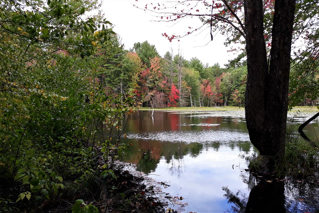Nahsua River Rail Trail Groton, Mass, USA If you are a… Flickr