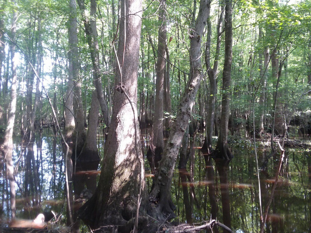 Virginia Land Conservation Foundation Grant Award Projects Flickr