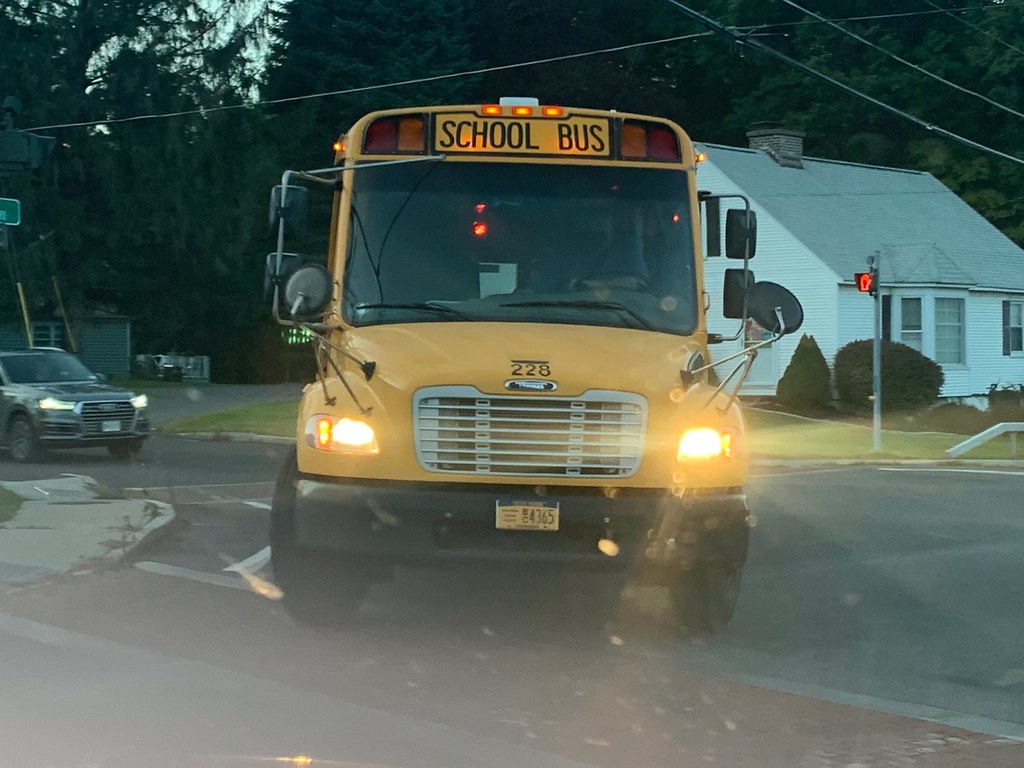 Marcellus CSD 228 Thomas C2 83ce300 Flickr