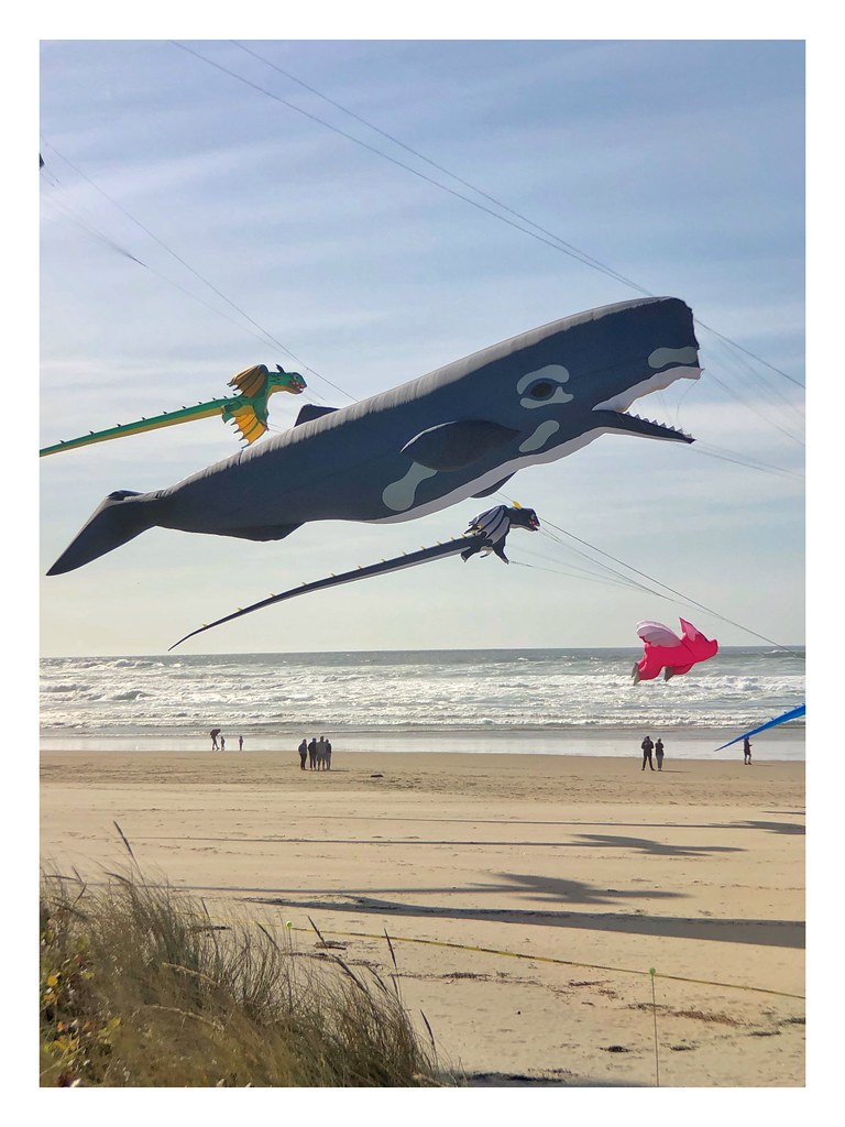 Kite Day, Rockaway Beach Oregon Gary Scott Flickr