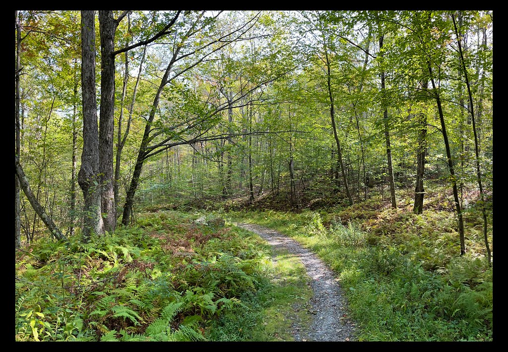 Beebe Hill Road Mad Hare Imagery Flickr