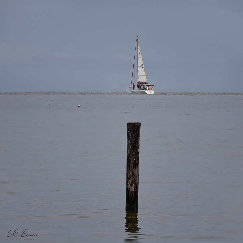 IM_24780Sailboat Kemah, TX Sailboat Steve Brown Flickr