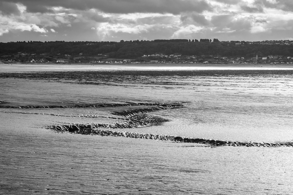 Tide's Out at Sand Point Gioconda Beekman Flickr