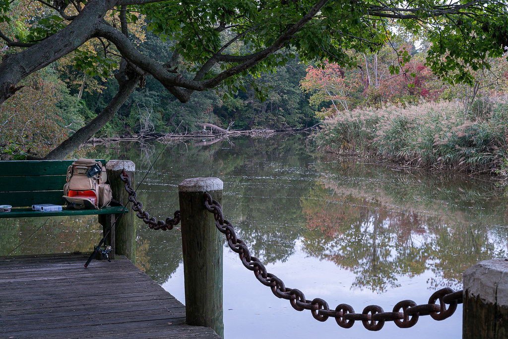 DSC029092 Evening in Mariner Point Park, Joppatowne, MD Steve Flickr