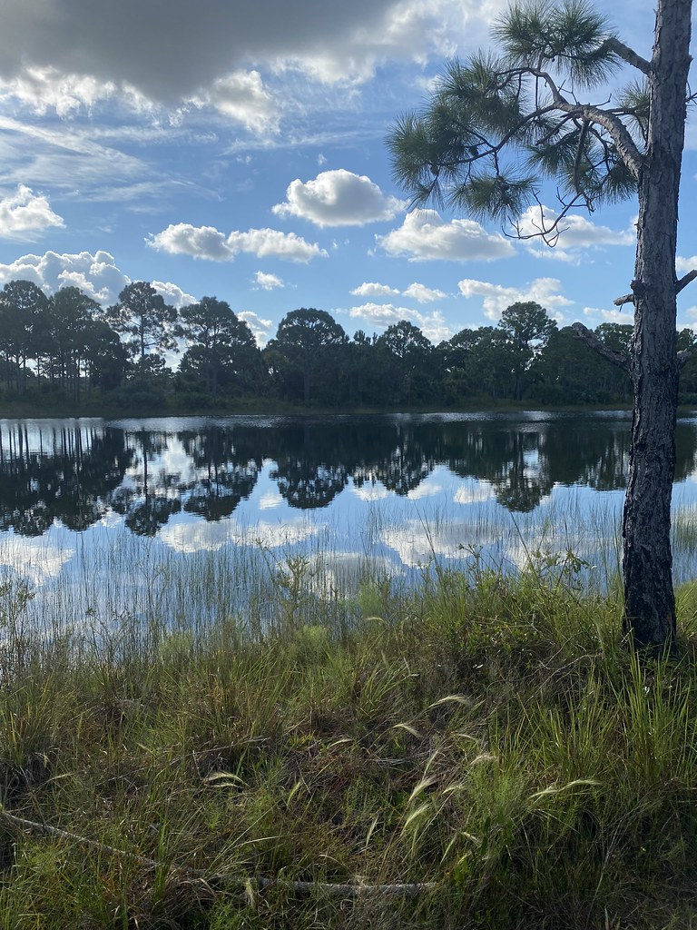 Pond along bike trail, Malabar, Florida Edward B Flickr