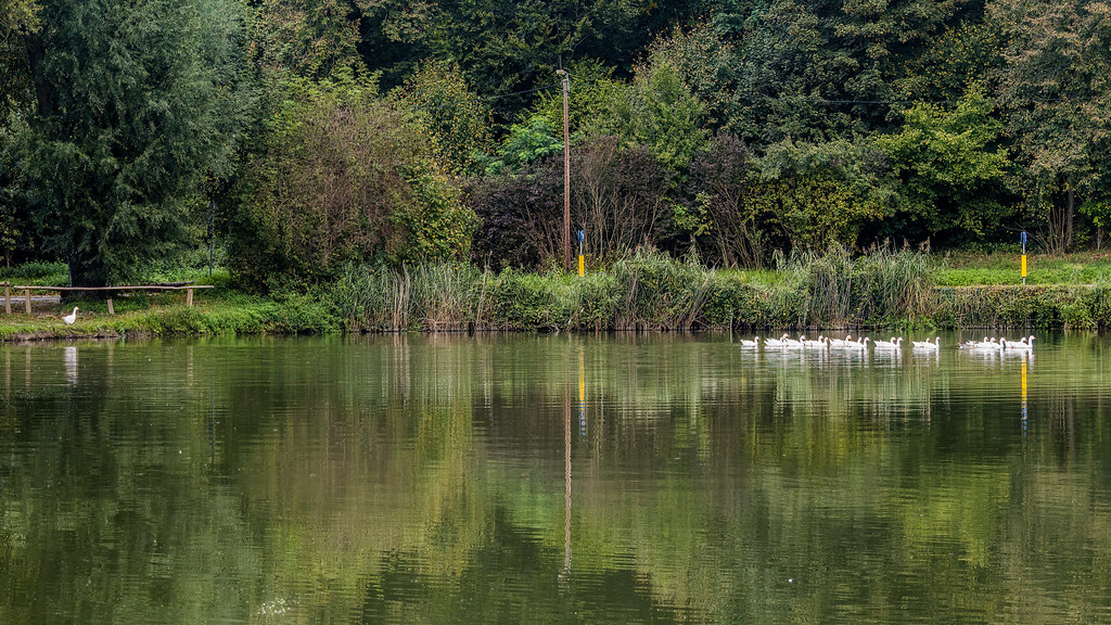 De Zoete Waters 20211002 OudHeverlee Raoul Heremans Flickr