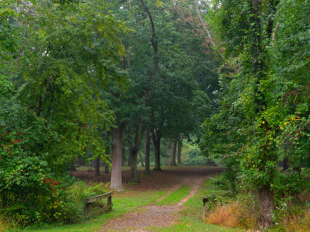 F. Bliss Price Arboretum Eatontown, New Jersey Flickr