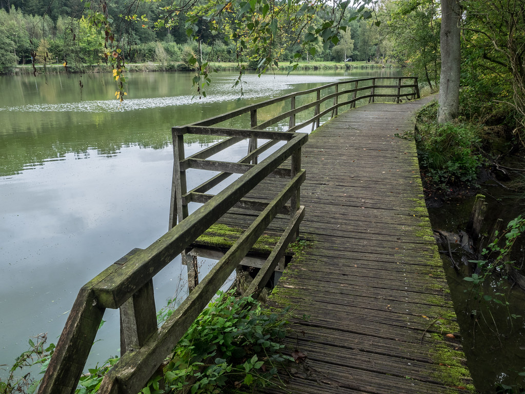 De Zoete Waters 20211002 OudHeverlee Raoul Heremans Flickr