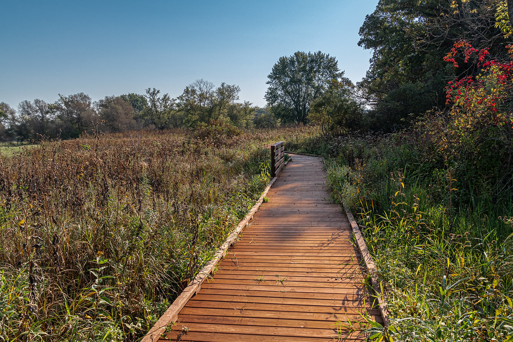 Access Dane County Land Records at Lydia Annunziata blog