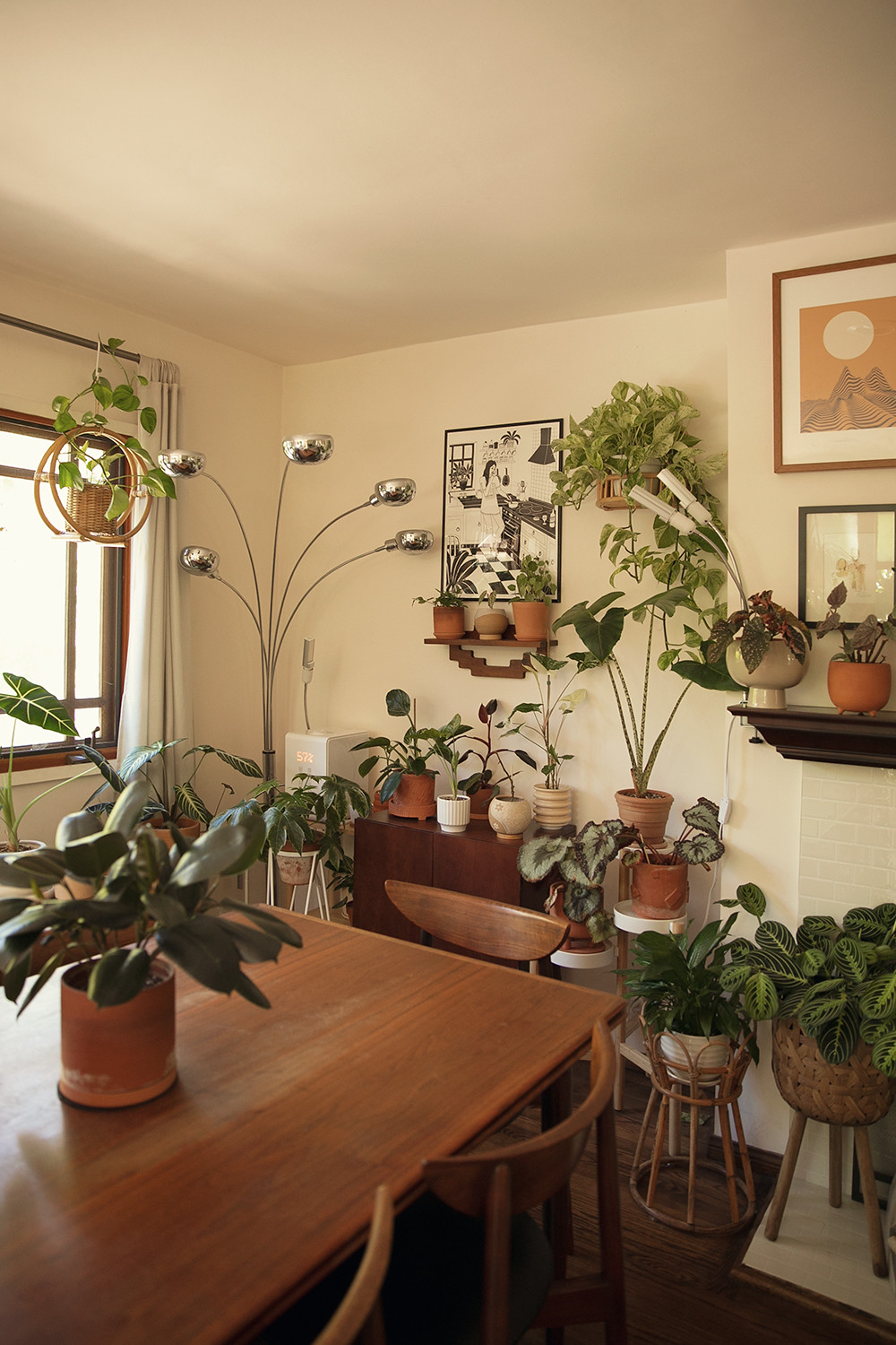 House Plant Tour it's not her, it's me