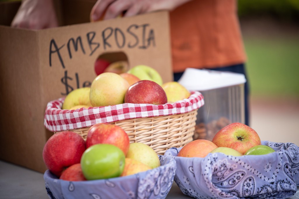 Duluth Farmers Market, Sept 2021 Flickr