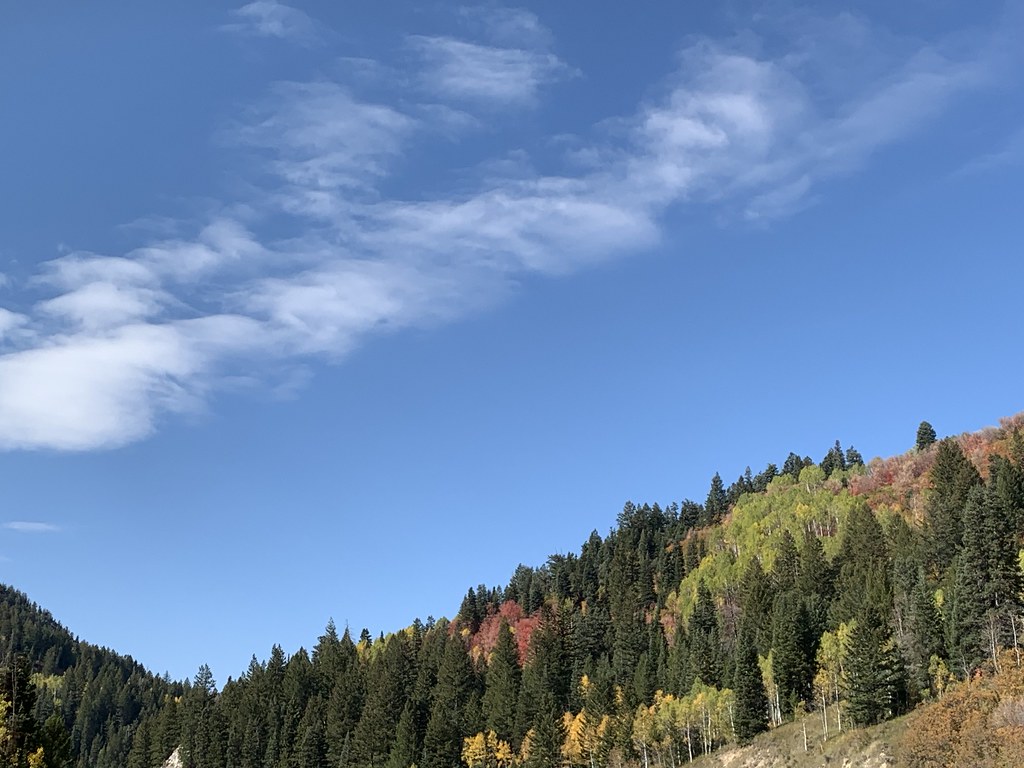 Bonanza Flats Flickr