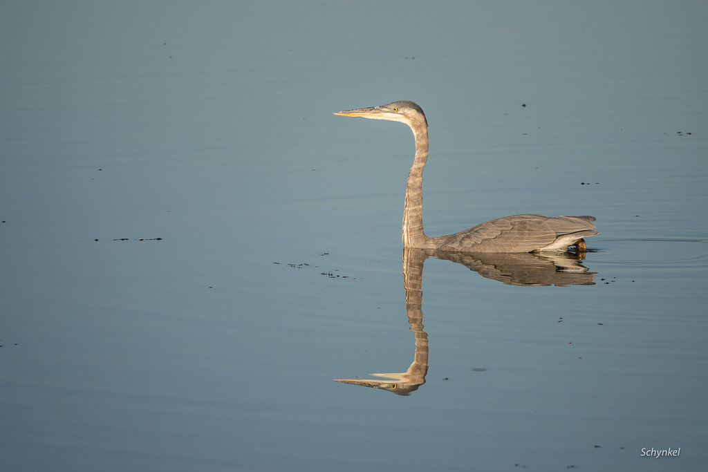 05 octobre 2021 BaieduFebvre JeanMarie Schynkel Flickr