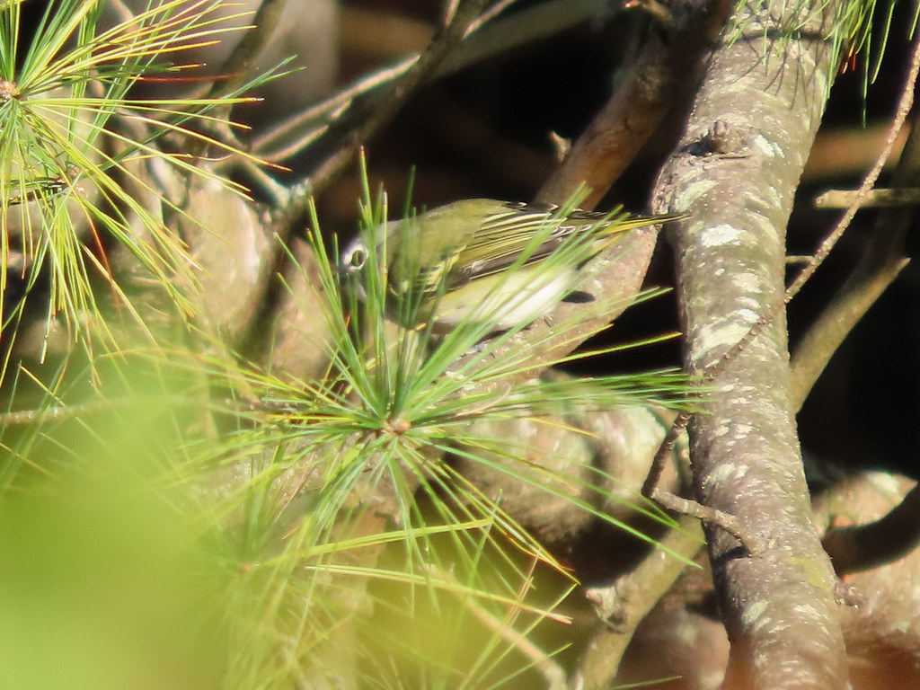 Hildreth Hills Oct.7, 2021 Flickr