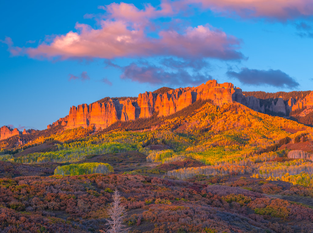 Owl Creek Pass Ridgway Colorado Autumn Colors Brilliant St… Flickr
