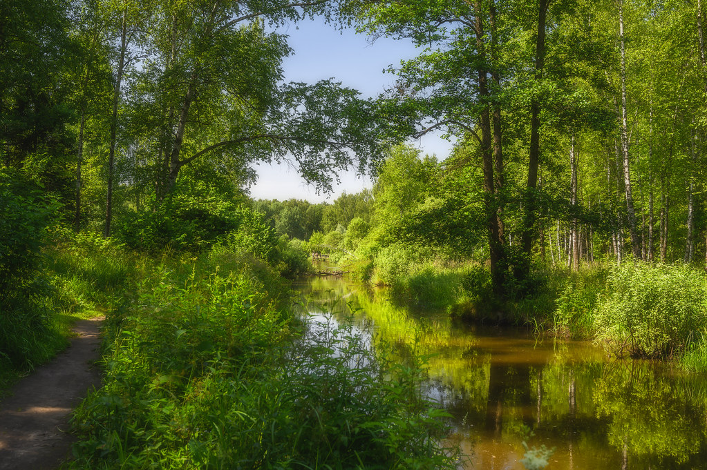 MSK_0771 Losiny Ostrov National Park, Moscow, Russia. Росс… Flickr