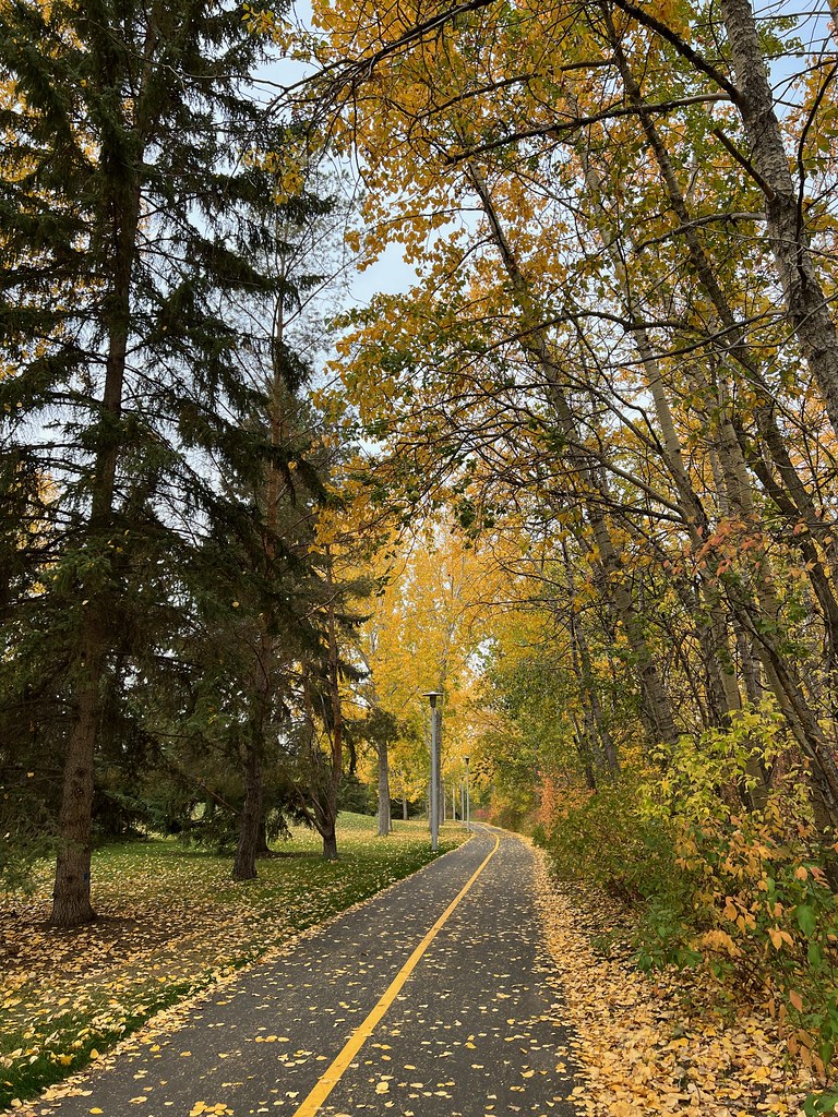 Gold Bar Trail The trails in Gold Bar Park had very recent… Flickr