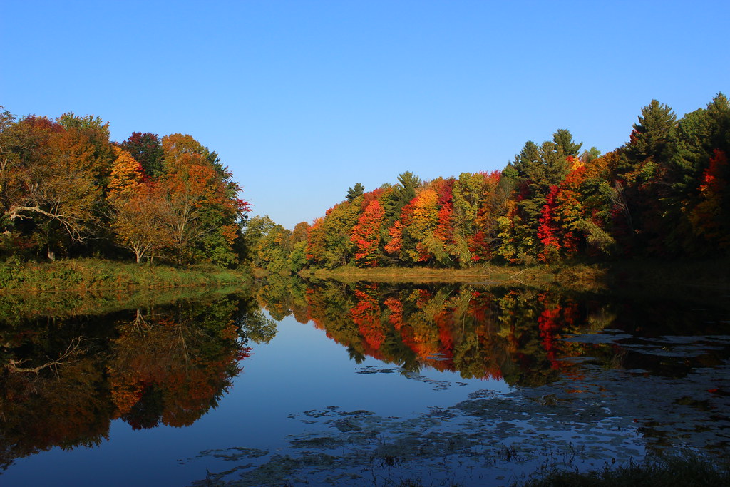 Rivière Noire in fall Rivière Noire in fall Upton,Qc Explo… Flickr
