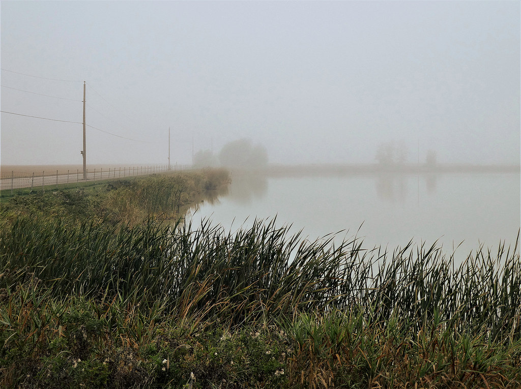 BaieduFebvre, 07 oct. 2021. Route Janelle. Impressionnis