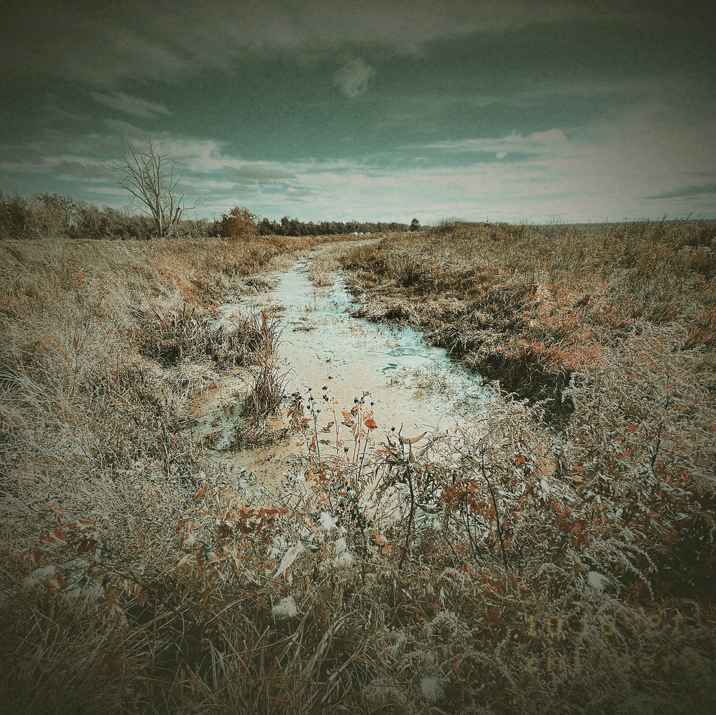 Montezuma, New York THE ENIGMATIC TRAVELER Flickr