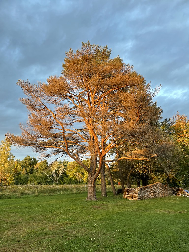 Mass Audubon Ipswitch River Wildlife Sanctuary Topsfield, … Todd