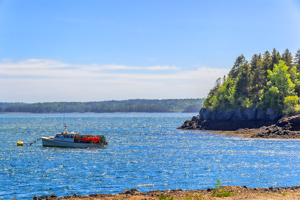 lobster fishing Eastport, Maine An idyllic New England sce… Flickr