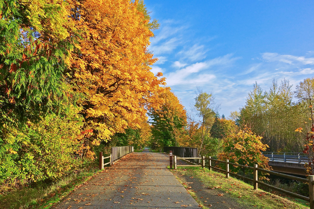 DSC07849 Morning in Machias, WA on the Centennial Trail Oxbow