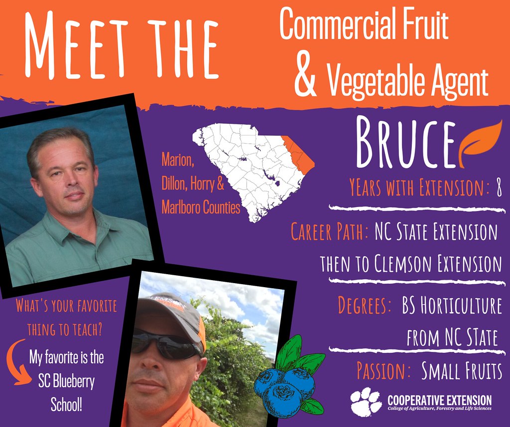 Bruce McLean, Commercial Fruit and Vegetable Agent for Dil… Flickr