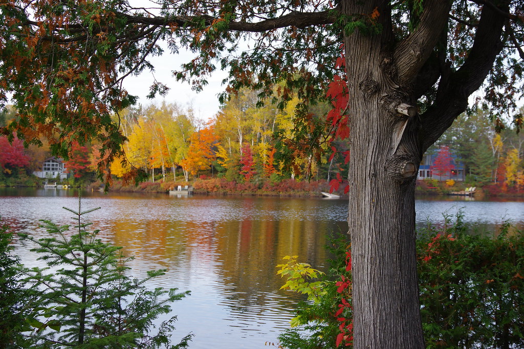 Petit lac Long StÉliedeCaxton, Québec René Lamothe Flickr
