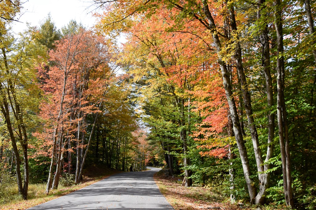 DSC_2648 Fall foliage Corn Hill Road, Boscawen NH Debbie LaValley