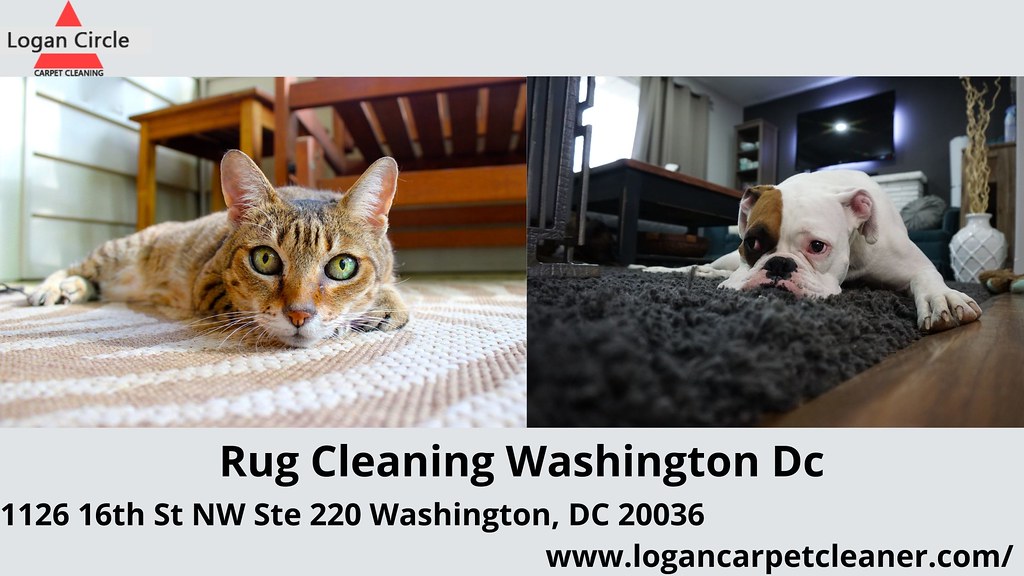 Rug Cleaning Washington Dc !! Logan Circle Carpet Cleaning… Flickr