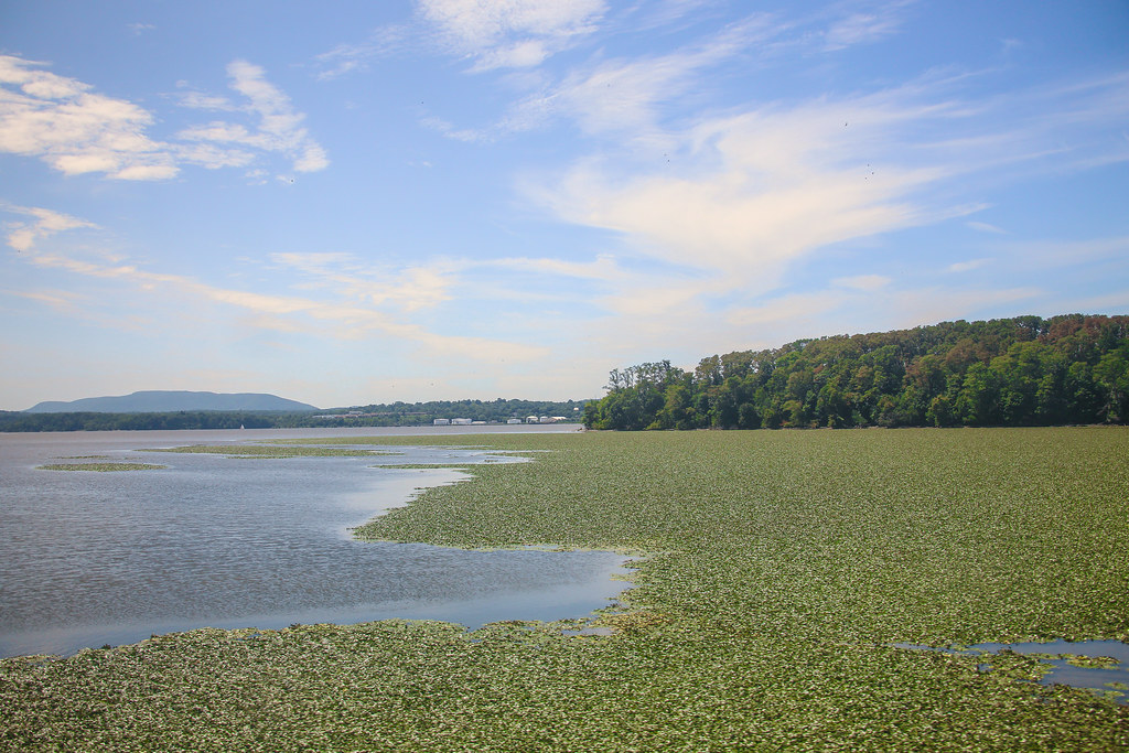Return from Burden Lake Day Four 47 Hudson River Views A… Flickr